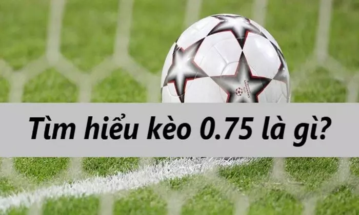 Hướng Dẫn Cách Cược Kèo 0.75 Ăn Chắc Thắng Lớn