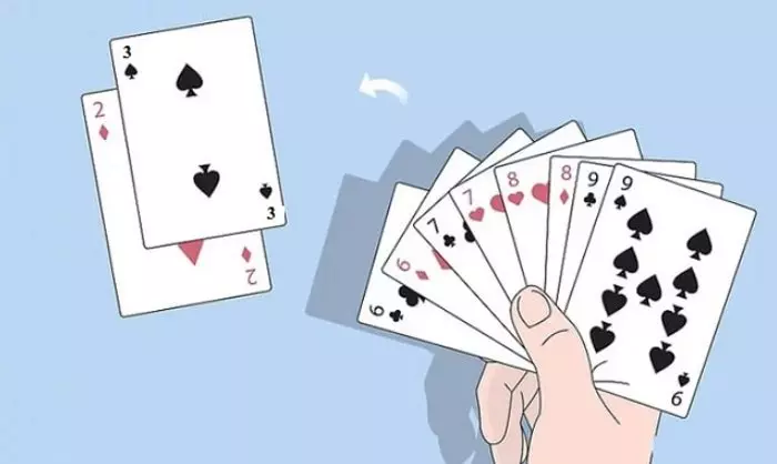 Bốn đôi thông có chặt được tứ quý không?