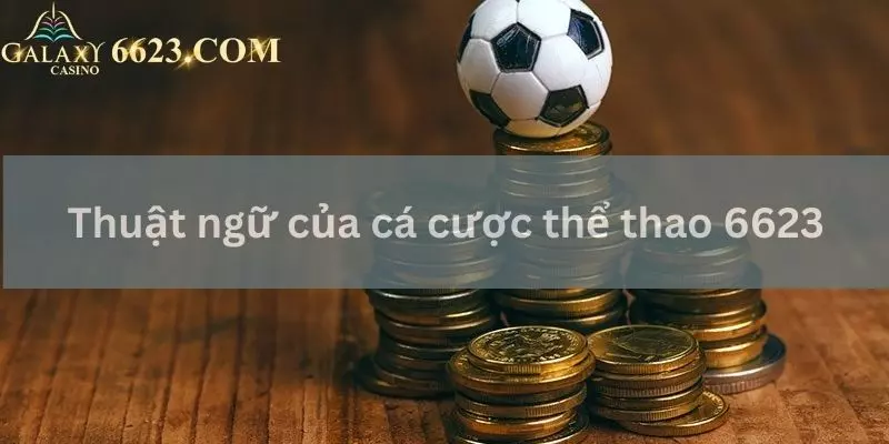 Thuật ngữ thường gặp khi chơi cá độ thể thao Win33  