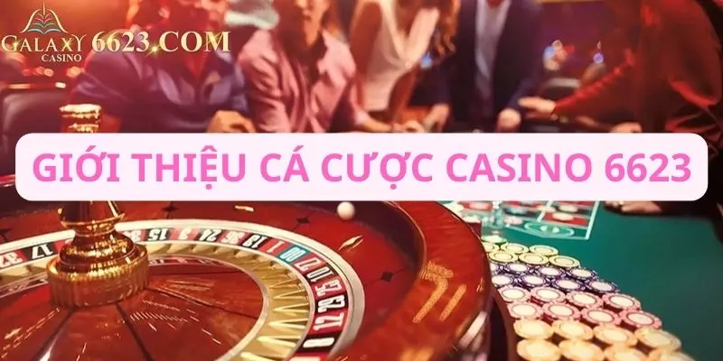 Tìm hiểu về cá độ casino Win33