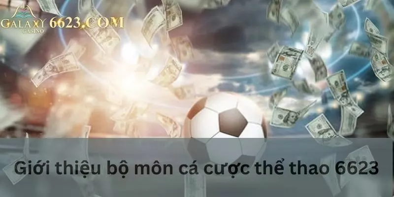 Tìm hiểu thể loại cá độ thể thao Win33 là gì?
