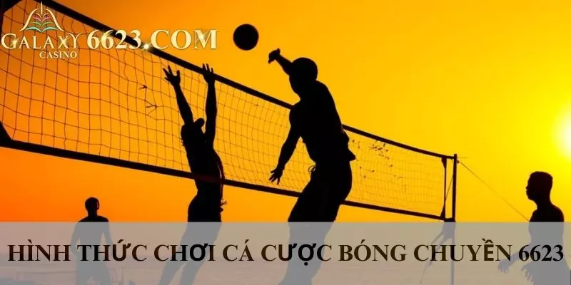 Cách tính điểm khi tham gia cá độ bóng chuyền Win33 