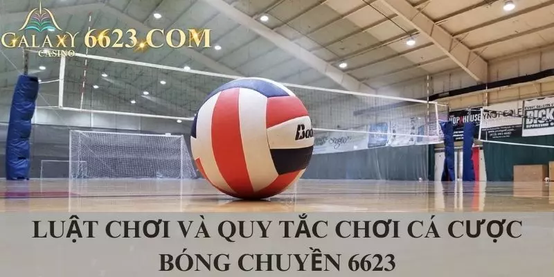 Quy tắc chơi và quy tắc khi tham gia cá độ bóng chuyền Win33 