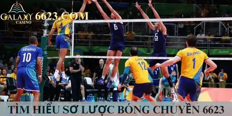 Bộ môn bóng chuyền là gì ? 