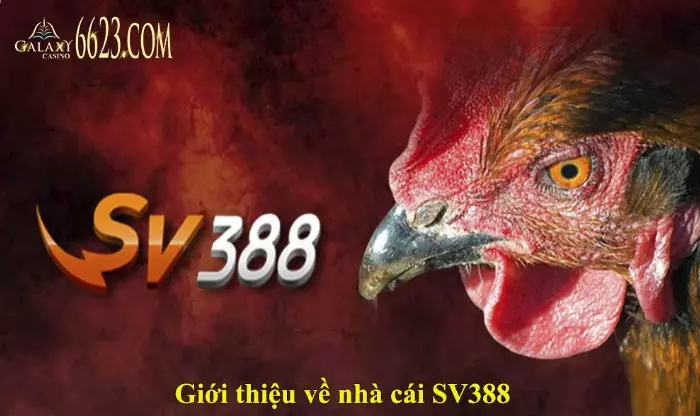 Giới thiệu về nhà cái SV388