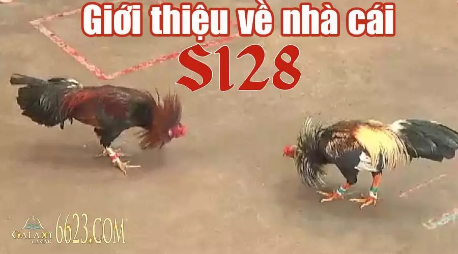 Cổng game đá gà S128