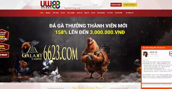 Giới thiệu về nhà cái đá gà UCW88