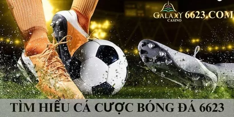 Tìm hiểu khái quát về cá độ bóng đá Win33