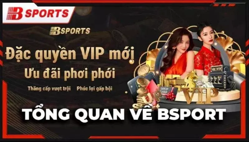 Tổng quan về nhà cái Bsport