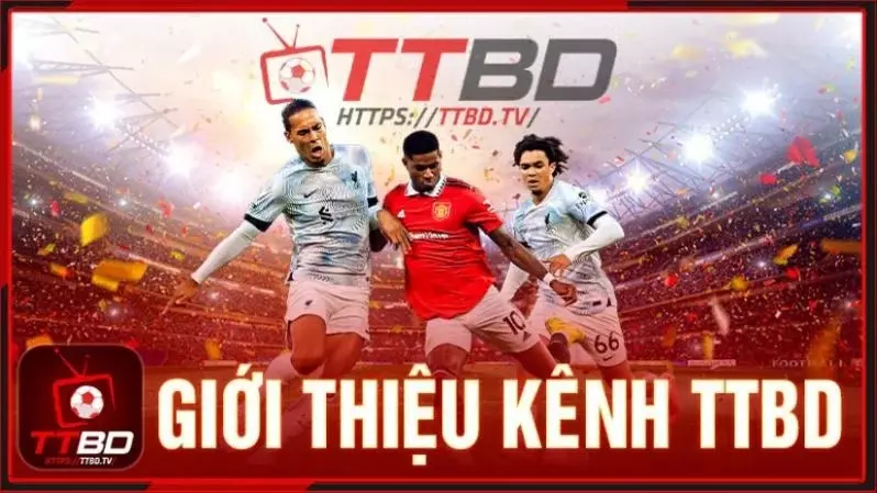 Giới thiệu về trang web xem trực tiếp bóng đá TTBD