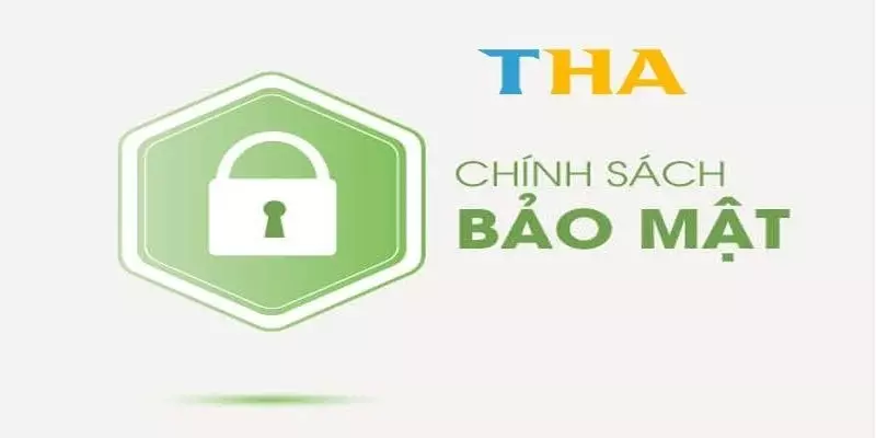 Đặc điểm vượt trội của Thabet 