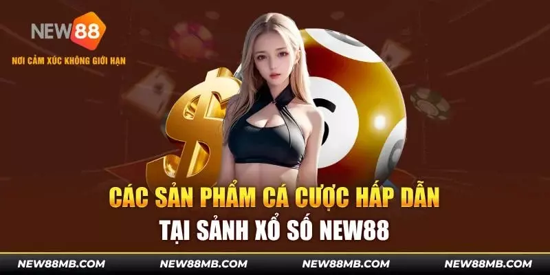 Cập nhật quá trình đầu tư sinh lợi nhuận con số đỏ đen trên web cược