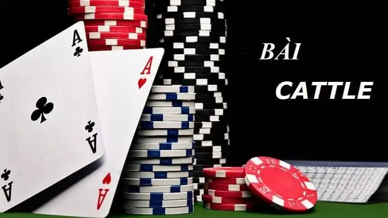 Go88 tiết lộ tới bạn những thủ thuật chơi catte cực hay
