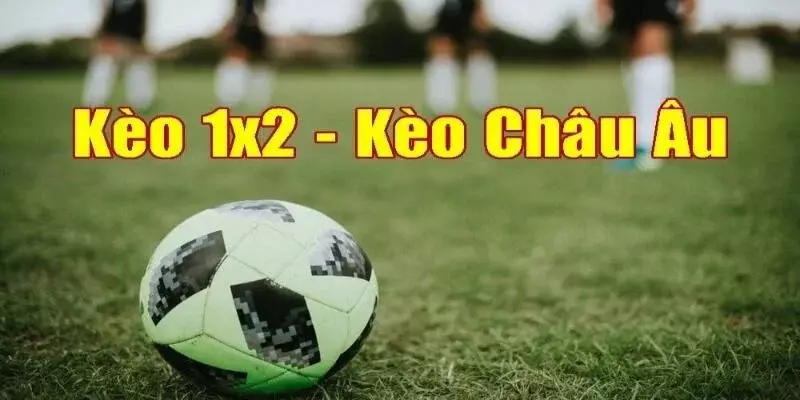 Giải mã kèo nhà cái có cách đọc thế nào?
