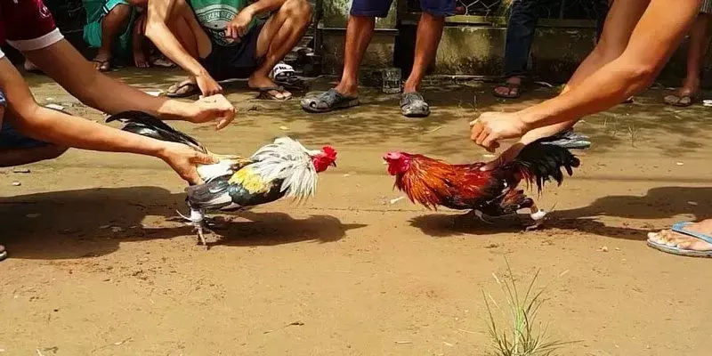 Chia sẻ những kinh nghiệm hữu ích