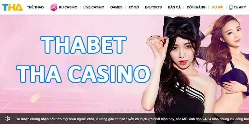 Tham gia cá độ live casino