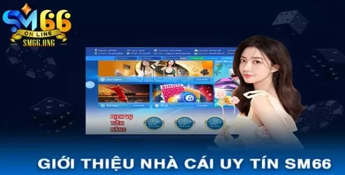 Thông tin khái quát về nền tảng SM66