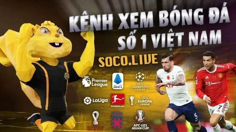 Những tính năng vượt bậc của kênh bóng đá Socolive